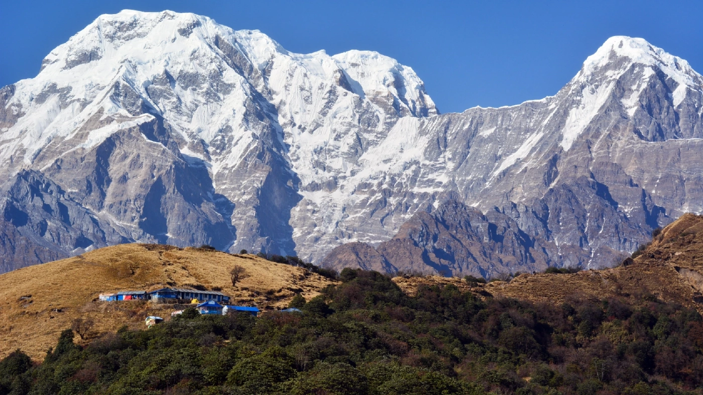 สายพันธุ์มอสอายุ 390 ล้านปี อาจเจอจุดจบ เมื่อเจอสภาวะโลกร้อน