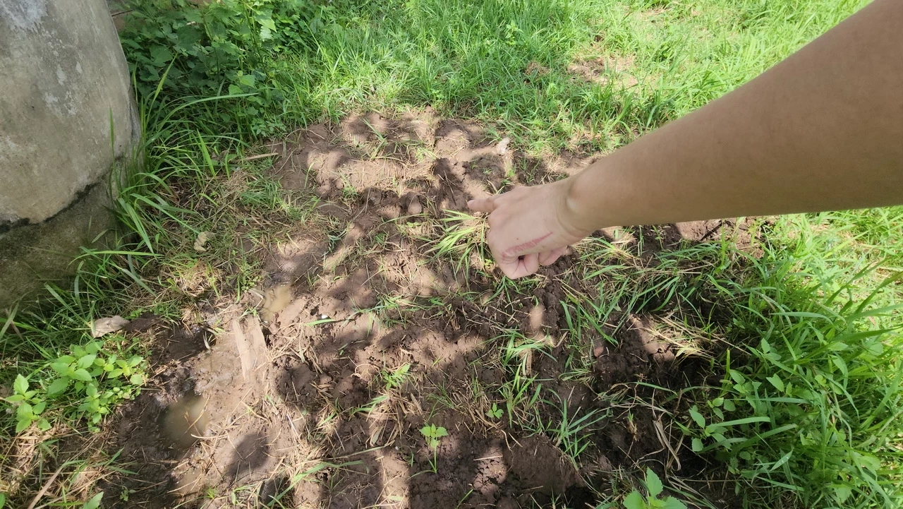 แม่ร้องสื่อ ลูก 8 ขวบ ถูกอาเขย จับฝังดินทั้งเป็น อ้างหลานแกล้งลูก จึงสั่งสอน