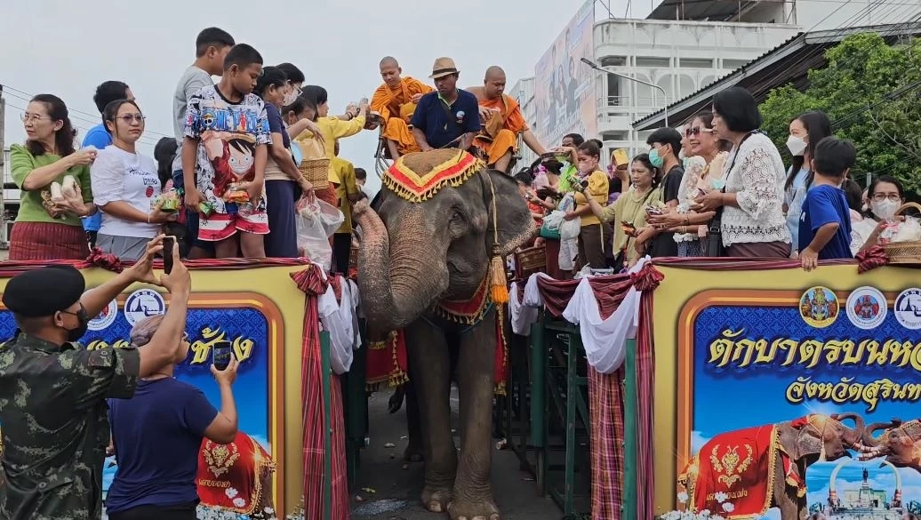 จังหวัดสุรินทร์จัดใหญ่ "ตักบาตรบนหลังช้าง" 37 เชือก เนื่องในวันอาสาฬหบูชา