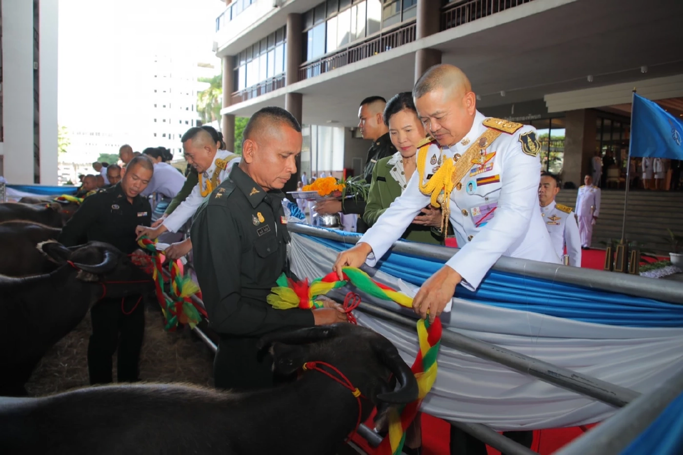 ทบ.จัดกิจกรรมเฉลิมพระเกียรติ สมเด็จพระพันปีหลวง วันเฉลิมพระชนมพรรษา 12 ส.ค.