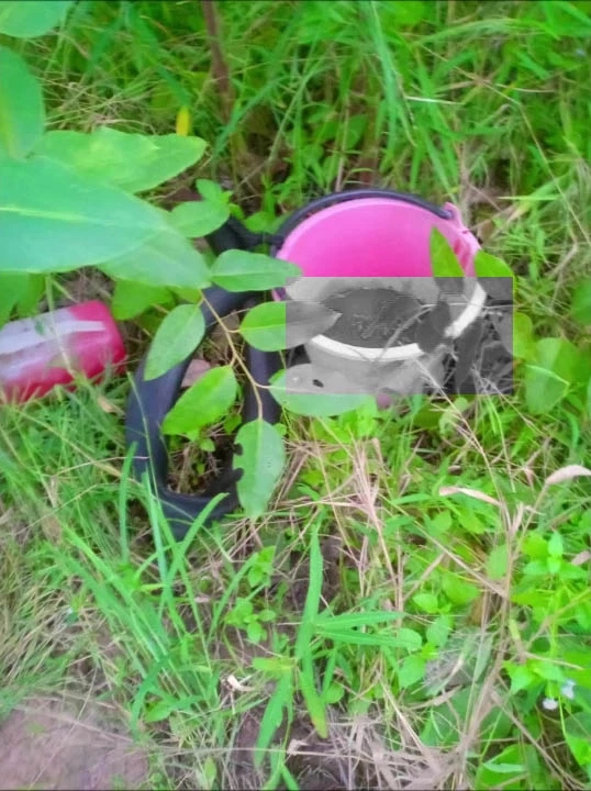 ชาวบ้านผวา ตัดคอวัวแม่ลูกอ่อน ถึงขั้นขายวัวทิ้งยกฝูง วอนตำรวจเร่งล่าโจร