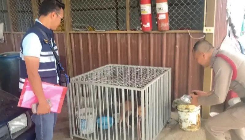 สะเทือนใจ! แจ้ง ตร. จับเจ้าหน้าที่เทศบาลพิมาย จับหมาขังในบ่อขยะจนตาย