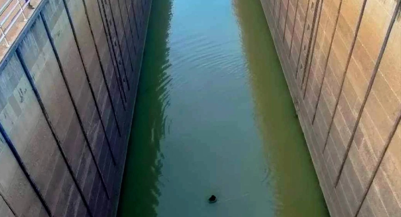 ชื่นชม! รปภ. ช่วยลูกแมวตกประตูเขื่อนเจ้าพระยา ลึกกว่า 40 เมตร