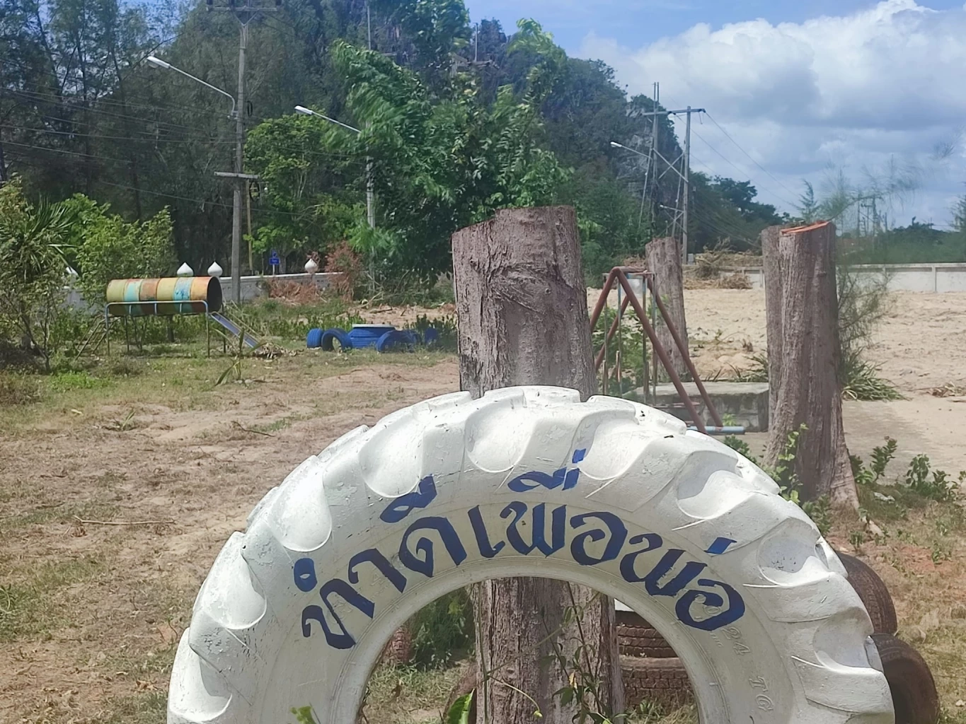 โวยตัดต้นสน 50 ปี สวนเฉลิมพระเกียรติฯ ร.9 แกนนำต้านโกงเชื่อรัฐไม่กล้าเอาผิด