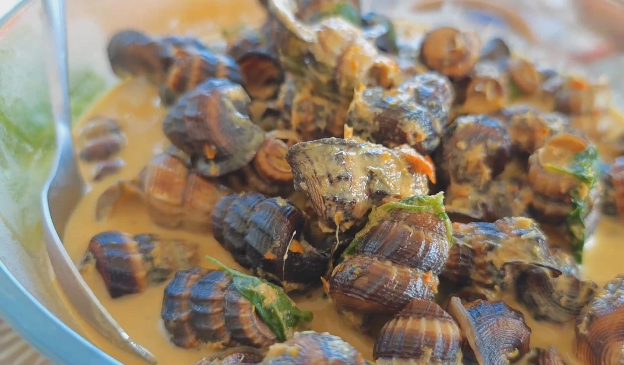 เมนูแกงหอยโล่