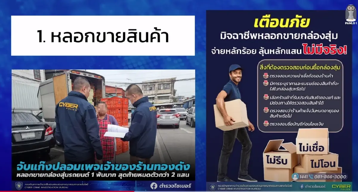 "กลุ่มนกเค้าแมว" เตือนภัย "หลอกออนไลน์" แบบครบวงจร