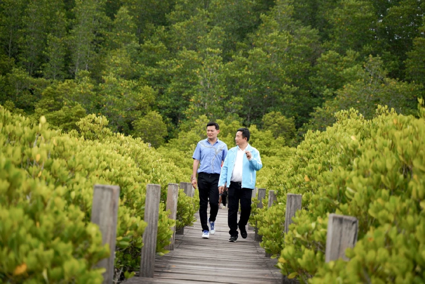 ดร.เอ้ ช่วยนพ.บัญญัติ หาเสีนงเลือกตั้งซ่อม เขต 3 ระยอง