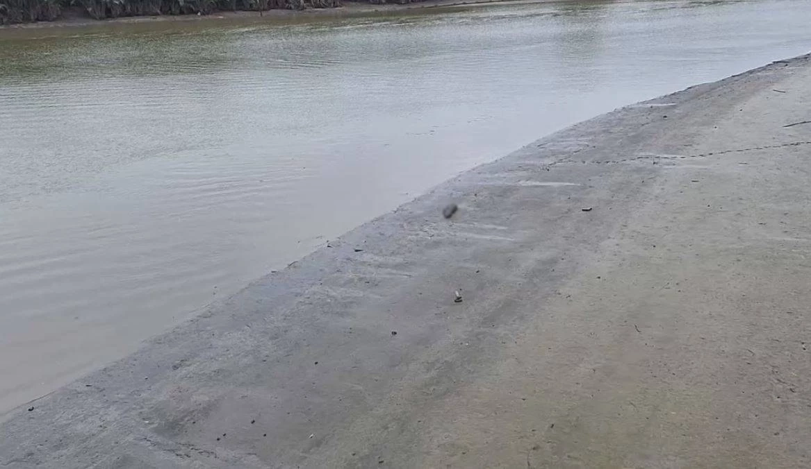 สลด พบซากโลมาหายาก ลอยเกยตลิ่งตาย ย่านพระสมุทรเจดีย์