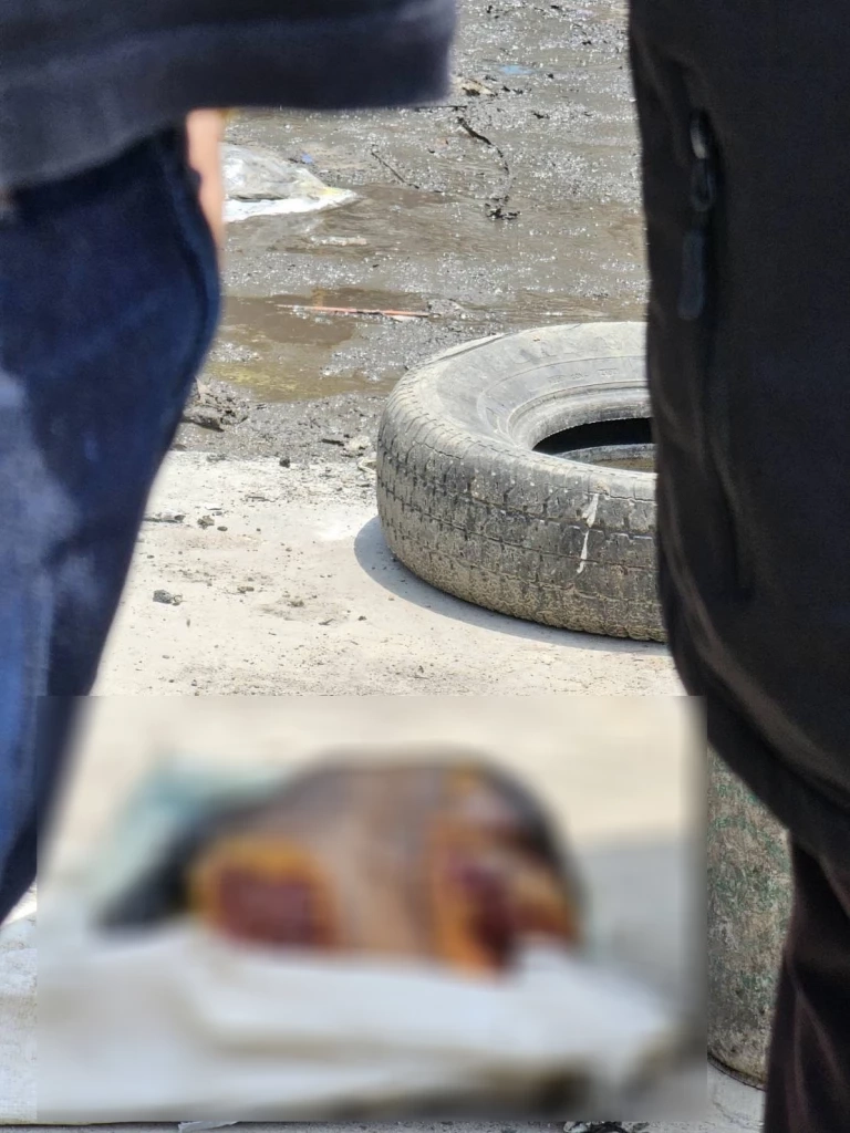 ผงะ! พบชิ้นส่วนมนุษย์ทิ้งกองขยะบนเกาะพะงัน คาดเป็นชายต่างชาติ