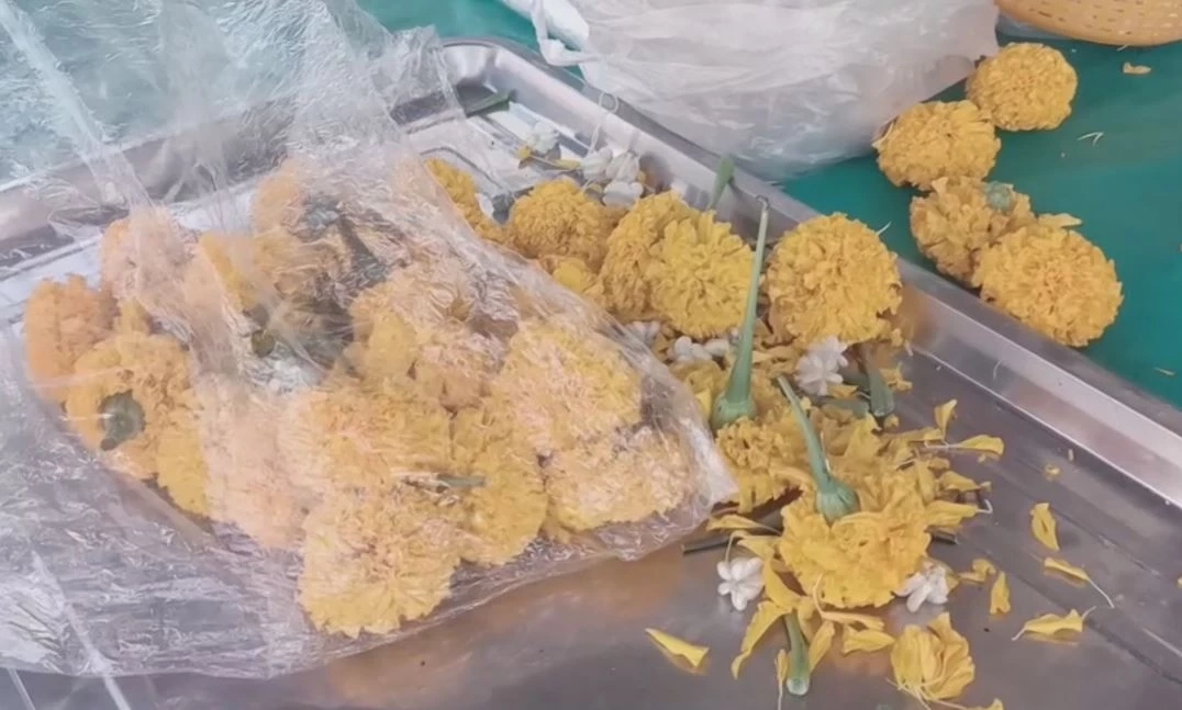 ดอกดาวเรือง