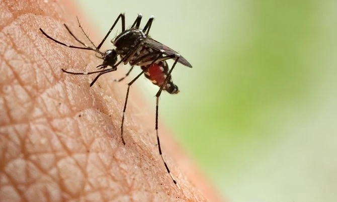 แอดมิตด่วน "เต้ย เป็นหนึ่ง" นักแสดงรุ่นใหญ่ไข้ขึ้นสูง ป่วยเป็นชิคุนกุนยา