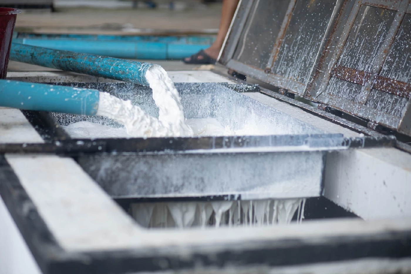 กยท.ฟันธง! แนวโน้มราคายางสดใส เตือนเกษตรกรรับมือ "เอลนีโญ" กระทบผลผลิต