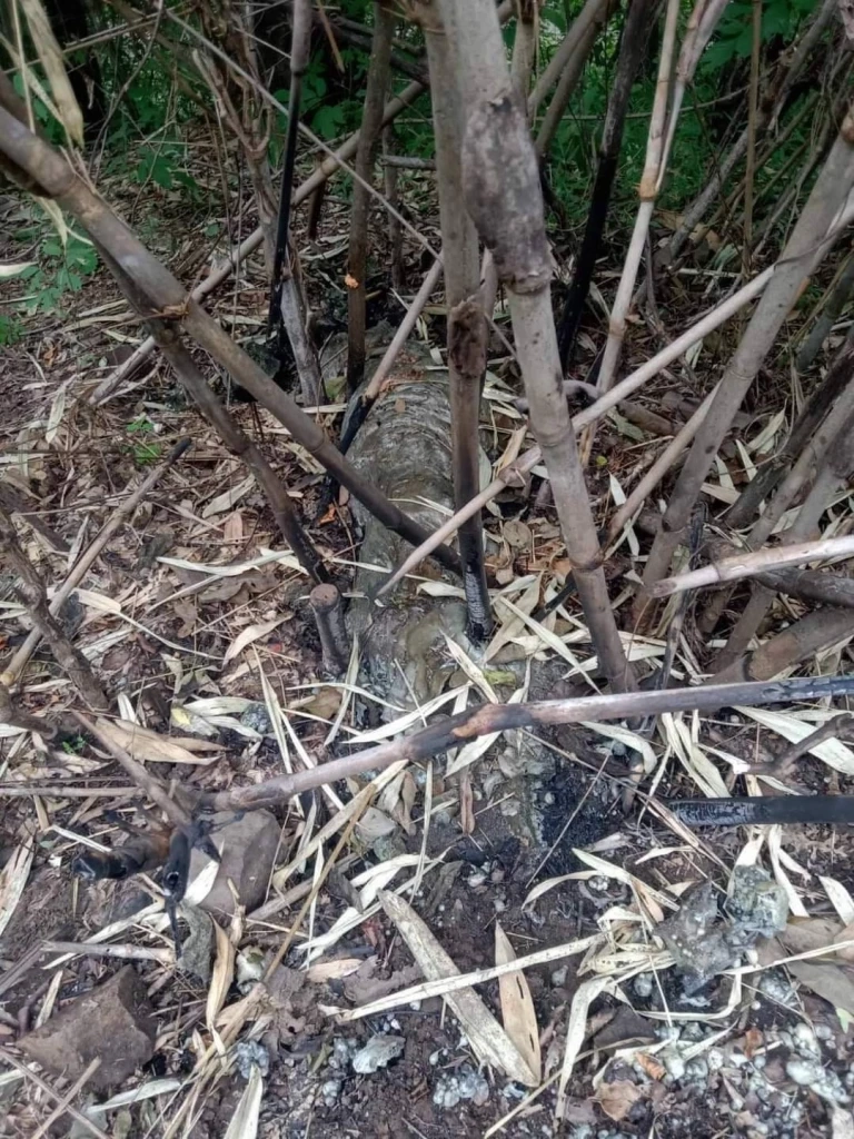 รู้สาเหตุ "ร่องรอยการปะทุของก้อนหิน" จ.ชัยภูมิ ที่แท้ไฟรั่วลงดิน