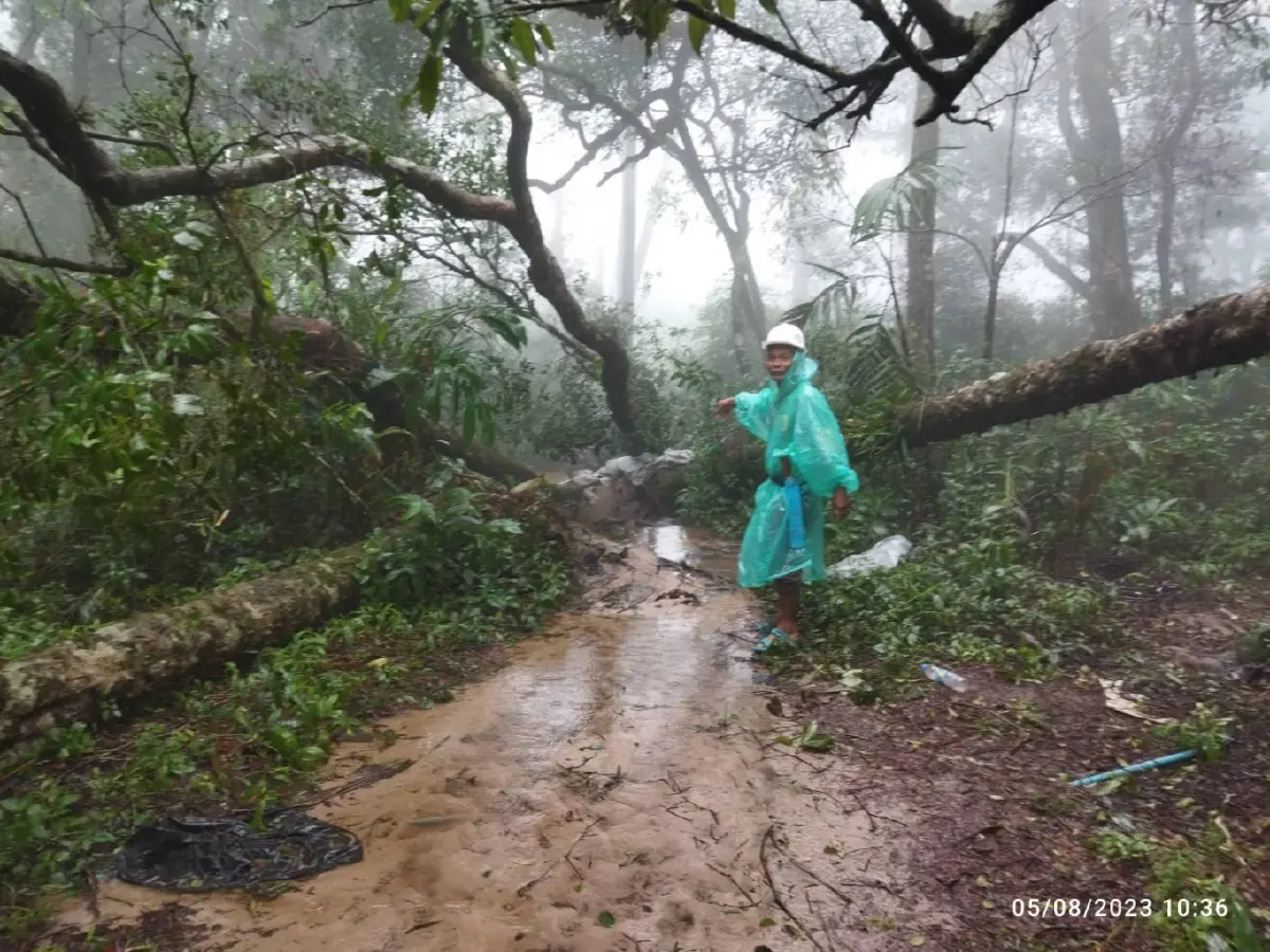 อช.ภูสอยดาว ประกาศปิดท่องเที่ยว ฝนตกหนัก ดินสไลด์ เฝ้าระวังน้ำป่าถล่ม 