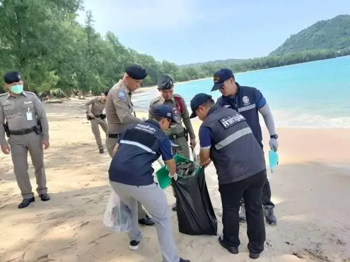 หน่วยงานรัฐขยับ เร่งหาตัวมือปล่อยน้ำมันลงทะเลภูเก็ต