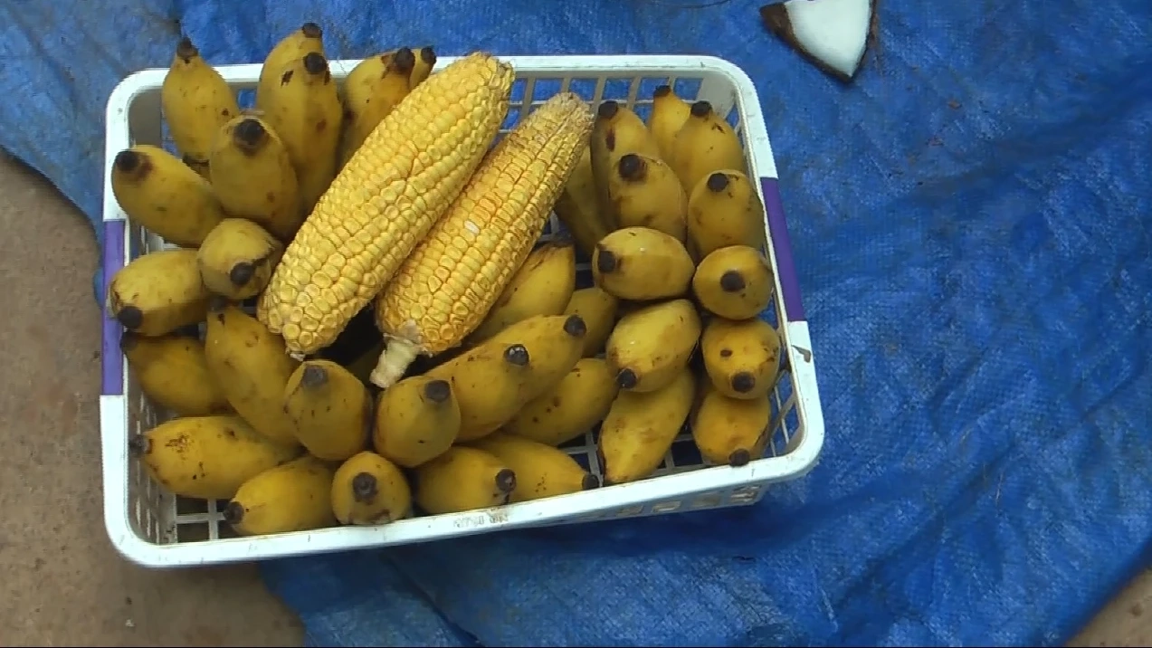 ส่องอาชีพเลี้ยงหนูพุกใหญ่ สายพันธุ์พัฒนา แบบออแกนิค พร้อมเผยเมนูไฮไลท์