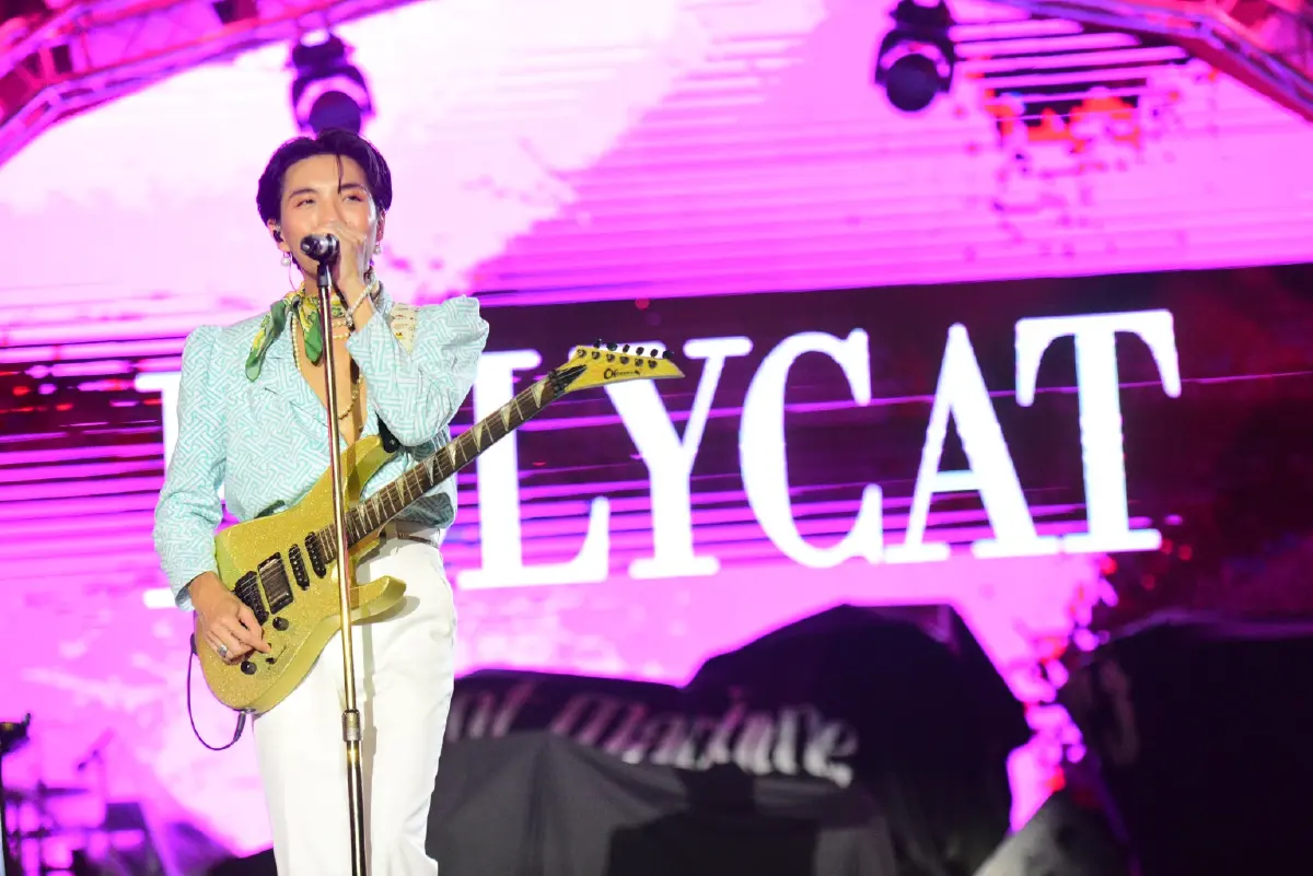ศิลปินวง Polycat 