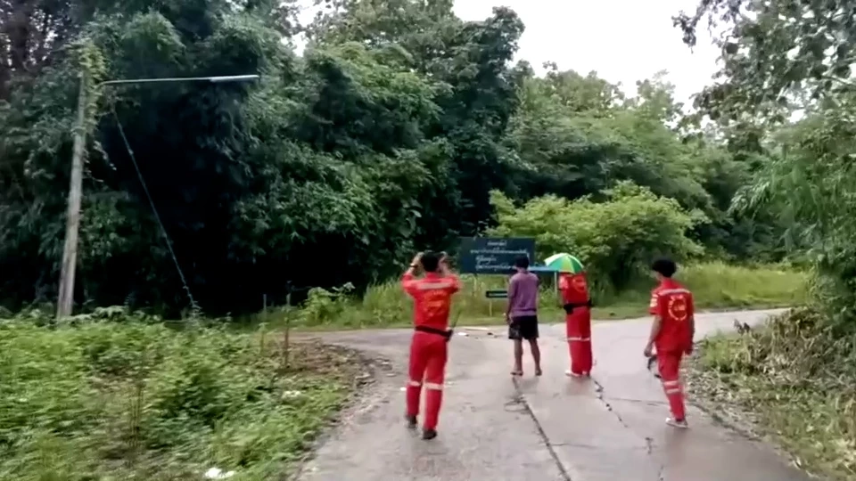 ช้างก็มีหัวใจ ถูกควาญเลือดร้อน ใช้มีดแทงหลังด่าทอซ้ำ โมโหใช้งาแทง ทืบจมดิน