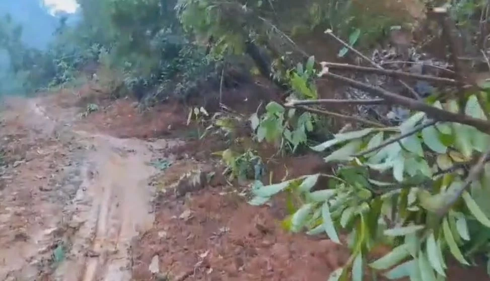 ชาวบ้านร่วมใจ ช่วยกันสร้างสะพานไม้ชั่วคราวข้ามลำห้วย หลังถูกน้ำป่าตัดขาด