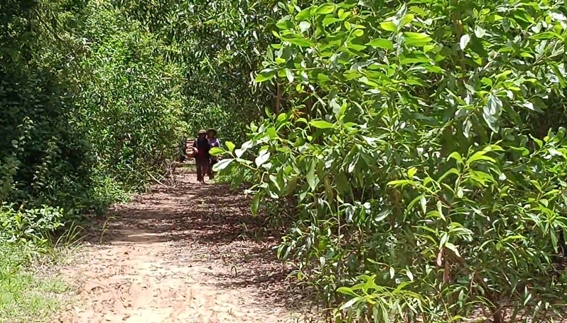 คุณตาวัย 79 ปี หายตัวปริศนาในป่า พร้อมเงินเกือบแสน ชาวบ้านระดมค้นหายังไม่พบ