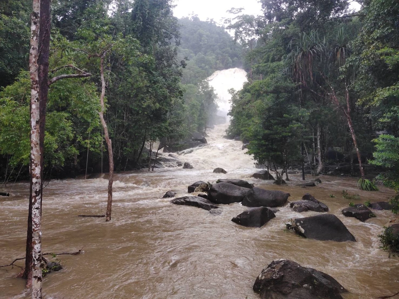 พัทลุงฝนตกหนัก น้ำป่าไหลแรง จนท.เฝ้าระวังน้ำท่วมฉับพลัน