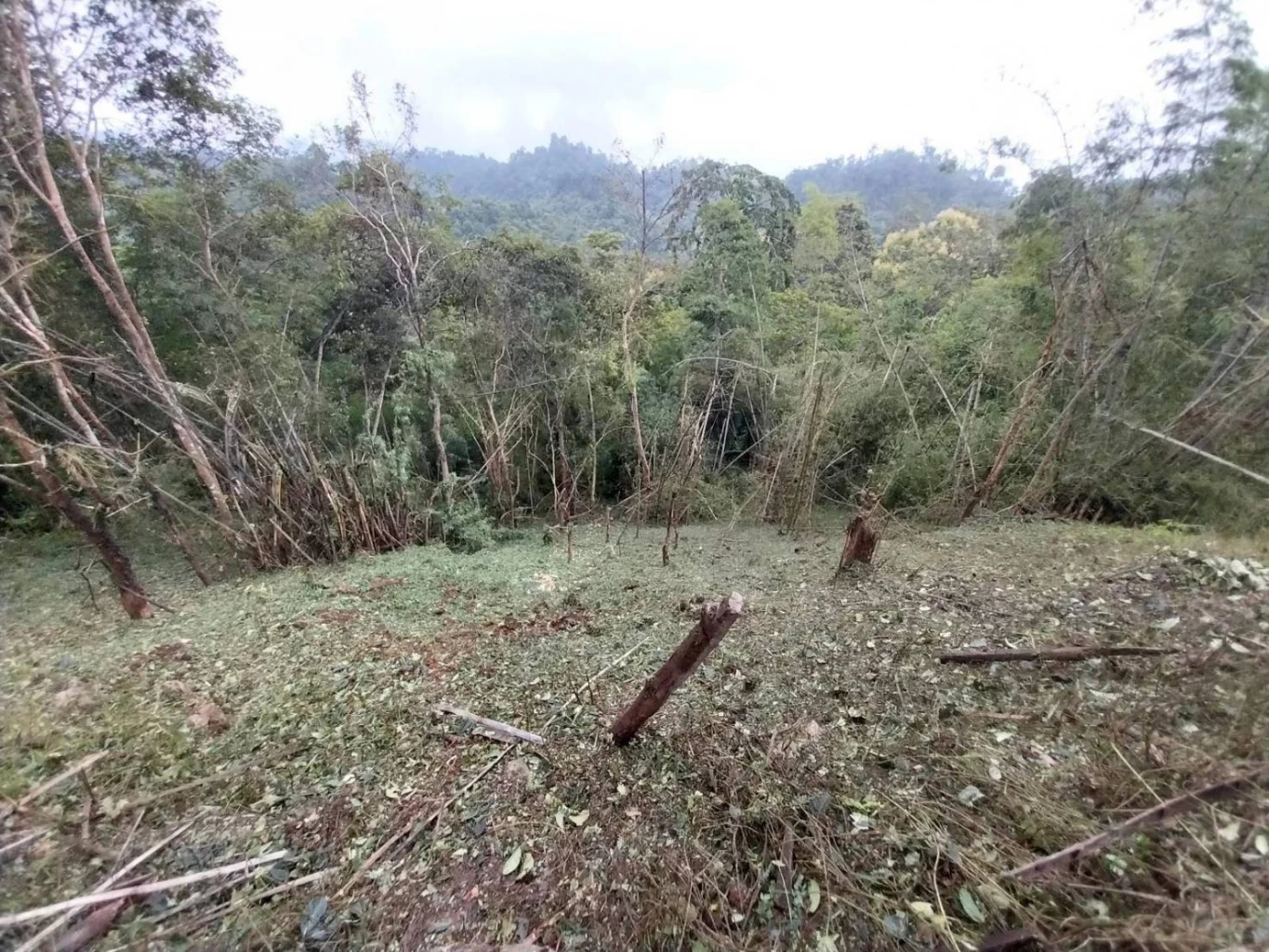 ไม่สนเสียงเรียกร้อง "เมียนมา" ทิ้งบอมบ์ใส่ "กะเหรี่ยง" หนักขึ้น (มีคลิป)