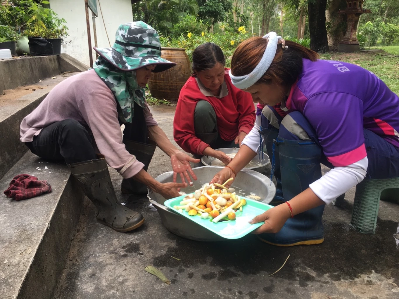 ชาวนครพนม พลิกวิกฤตฝนตกชุกน้ำท่วม ออกหาเห็ดป่า สร้างรายได้วันละครึ่งหมื่น