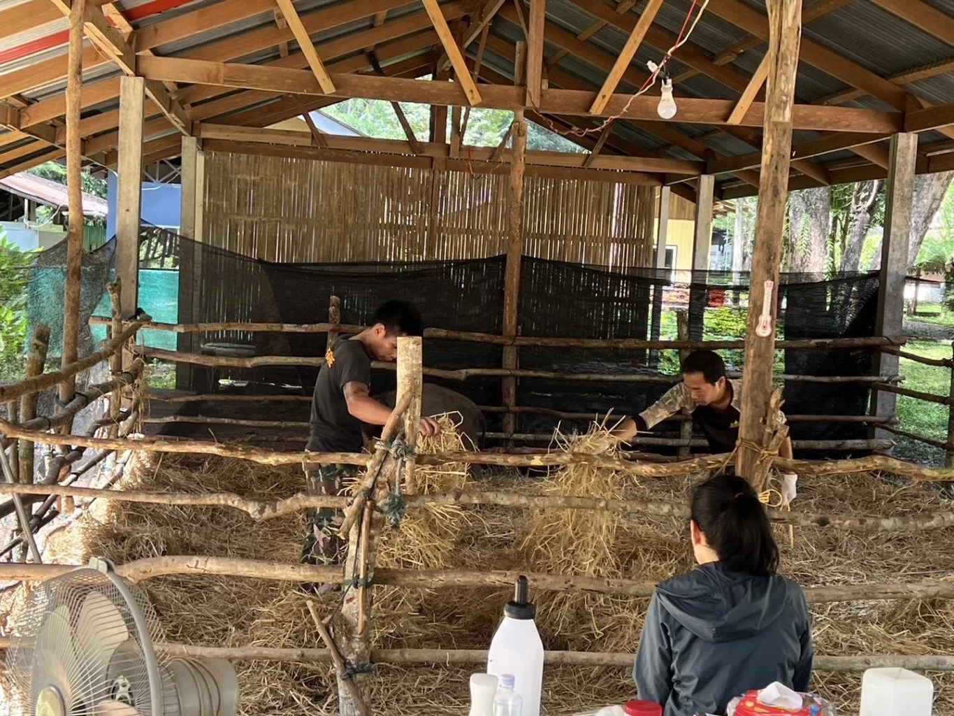 ภาพโดยเขตรักษาพันธุ์สัตว์ป่าภูวัว