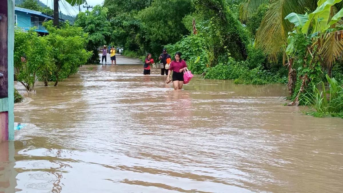 น้ำป่าทะลัก ท่วมอุโมงค์เชื่อมผืนป่าดงพญาเย็น! สั่งปิดด่วน ถนนสาย 304