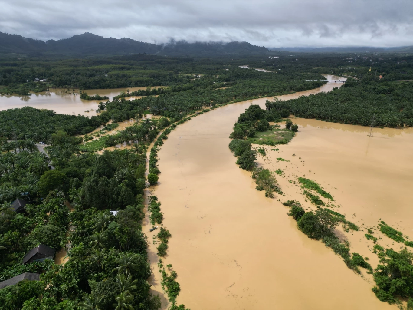 เปิดภาพมุมสูง "แม่น้ำตะกั่วป่า" ล้นตลิ่ง ทะลักท่วมบ้านเรือนและพื้นที่การเกษตร