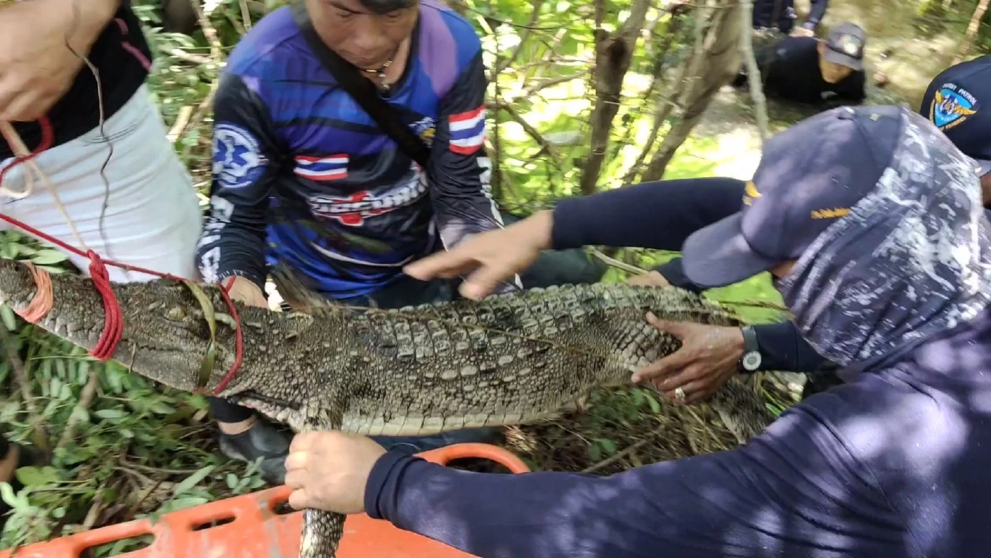 ปิดจ๊อบ ล่าไอ้เข้ จับได้ครบ 38 ตัว เจ้าของฟาร์มขอโทษสังคม พร้อมเลิกกิจการ