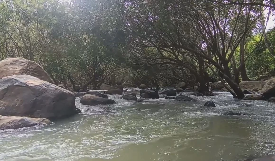 ชวนเที่ยว "อุโมงค์ต้นแจงแก่งวังวน" สัมผัสธรรมชาติสวยงาม ที่เขื่อนลำแชะโคราช