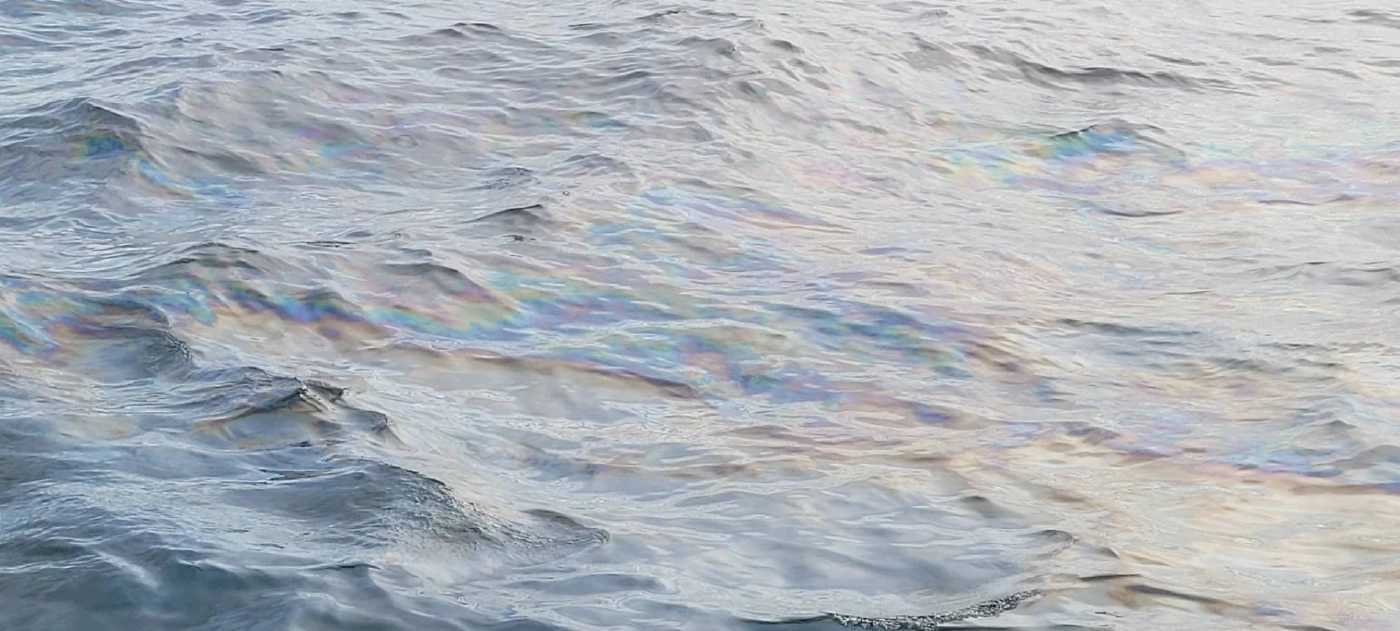 หวั่นน้ำมันรั่ว ส่งผลสิ่งแวดล้อม ห่วงโซ่อาหารมนุษย์ อาหารทะเลมีสารปนเปื้อน