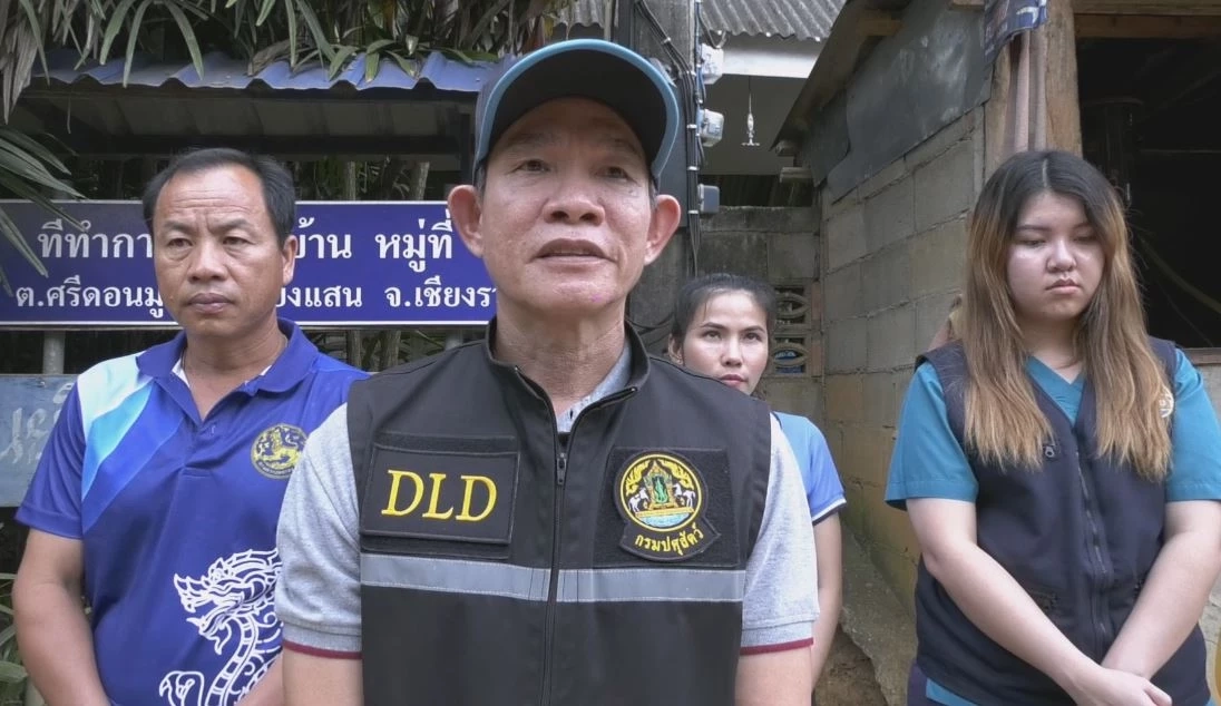 ปศุสัตว์เชียงราย เร่งลงพื้นที่บ้านดอยสะโง้ แก้ปัญหาหมูดำตาย