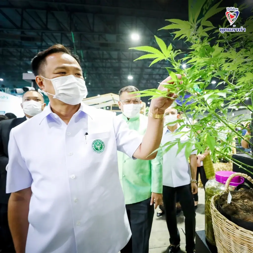 นายอนุทิน ชาญวีรกูล สมัยดำรงตำแหน่งรมว.สาธารณสุข ผลักดันนโยบายกัญชาเพื่อสุขภาพเกือบจะสำเร็จ แต่รอบนี้ ร่วมรัฐบาล แต่มี นพ.ชลน่าน ศรีแก้ว จากพรรคเพื่อไทย  เป็นรมว.สาธารณสุข จะเดินหน้านโยบายกัญชาไปในทิศทางใด 