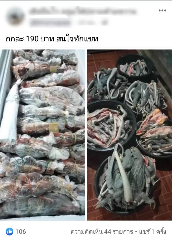 ตร.ปทส.บุกรวบหนุ่มนราธิวาส ลอบค้าซากสัตว์ป่าออนไลน์ คาปั้มขณะส่งมอบ