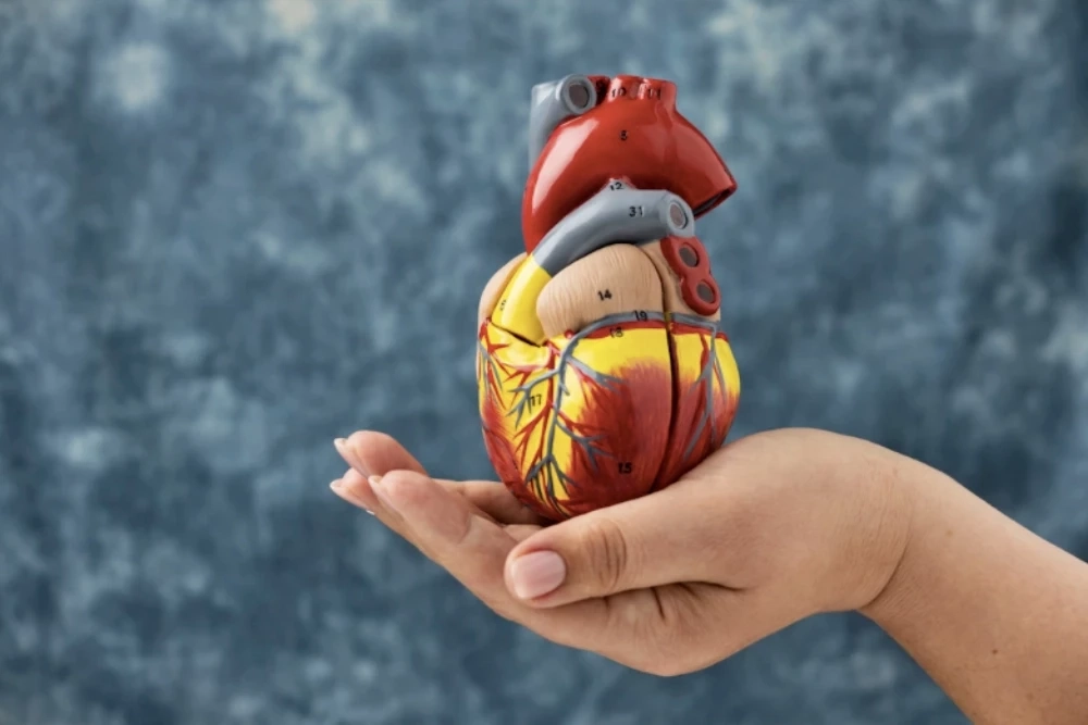 เจ็บหน้าอก เป็นๆ หายๆ อันตรายแค่ไหน เป็นสัญญาณเตือนของโรคหัวใจหรือไม่?