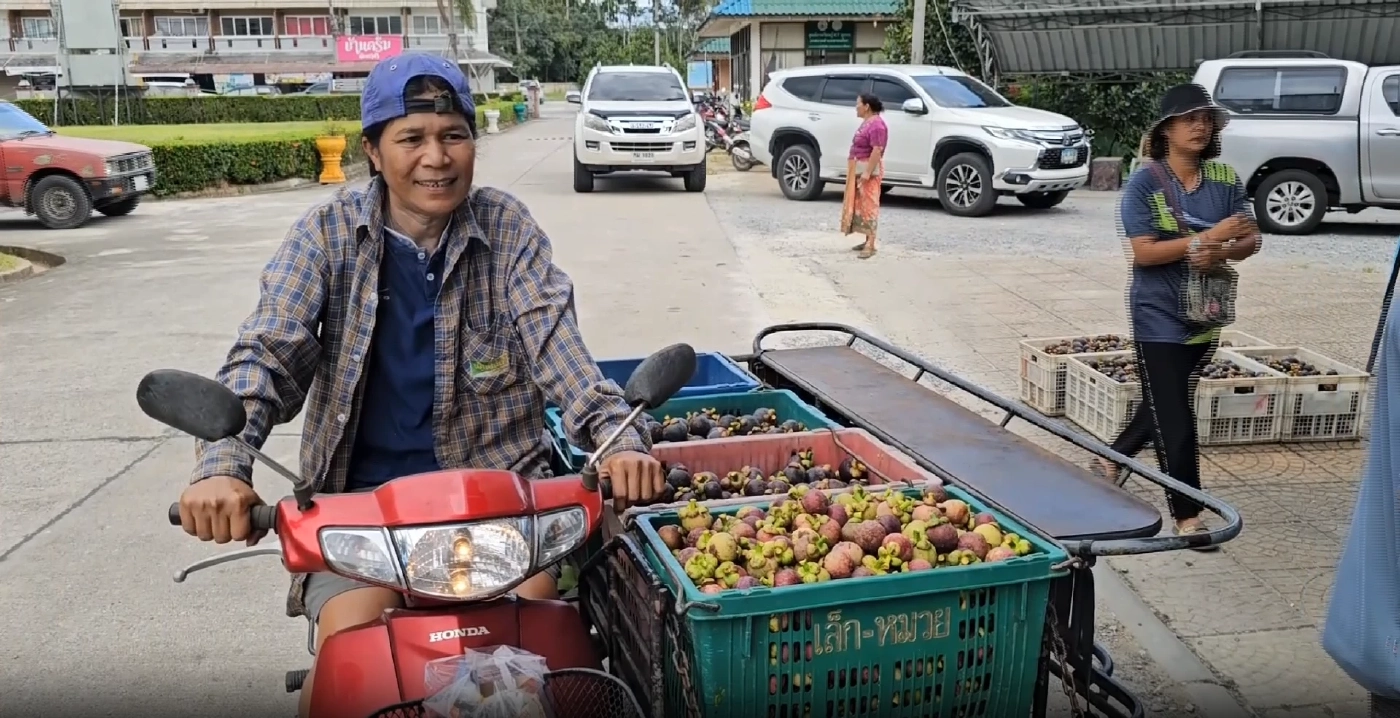 ชาวสวนยิ้มร่า "ธรรมนัส" จัดจุดรับซื้อมังคุดคาดทะลุ 1 พันตัน