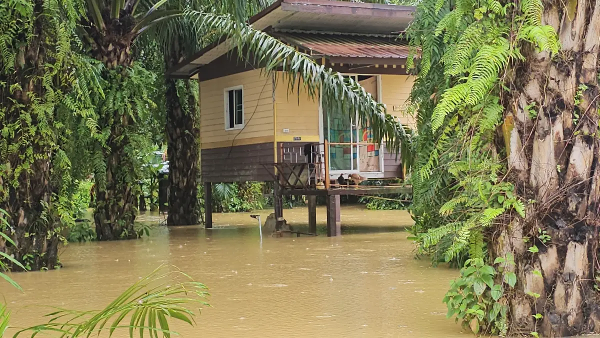 ชาวตะกั่วป่าดีใจเก้อ น้ำทะลักท่วมซ้ำรอบที่ 5 ต้องใช้เรือสัญจรเข้าออก