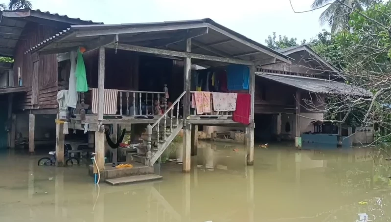 "ละงู" อ่วม! ฝนตกหนักส่งผล 2,500 ครัวเรือนจมบาดาล วอนเร่งช่วยเหลือ