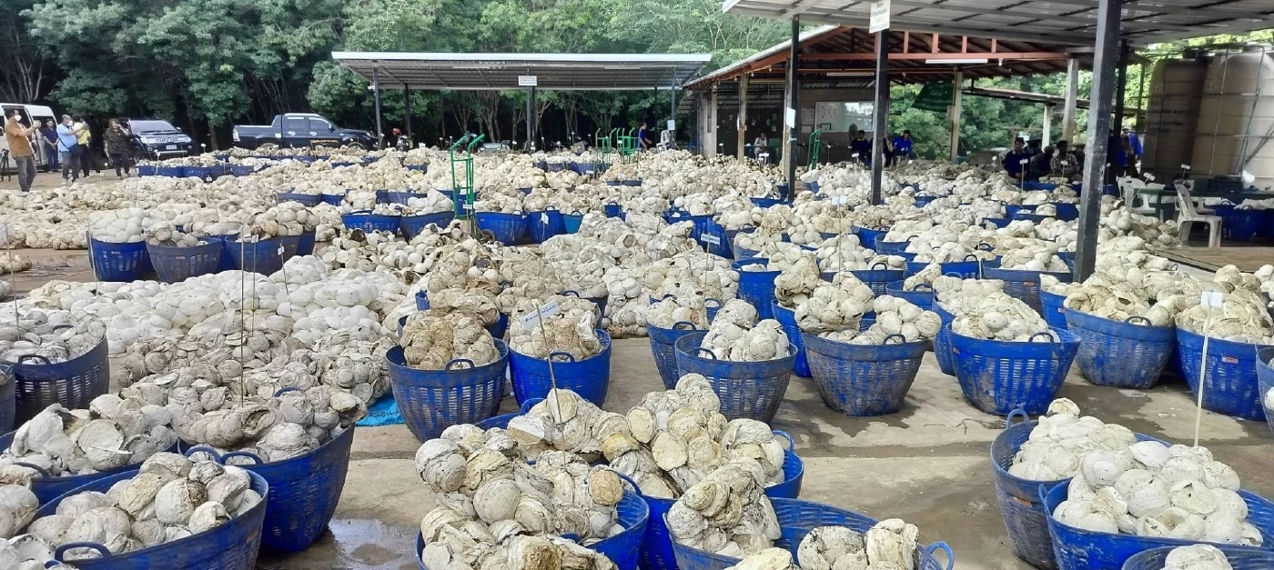 กยท.มอบทุนการศึกษาบุตรชาวสวนยางต่อเนื่อง 4 ปี 16 ล้านบาท