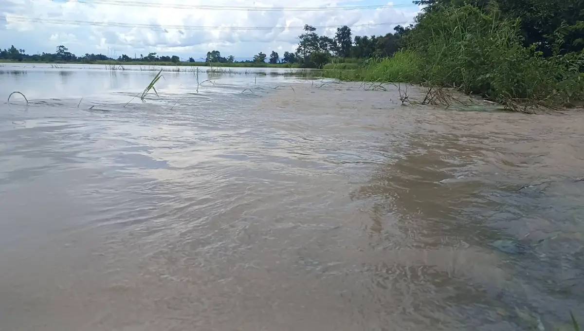 ฝนกระหน่ำชัยภูมิตลอดคืน "น้ำป่า" ทะลักท่วมนาข้าว เสียหายกว่า 500 ไร่