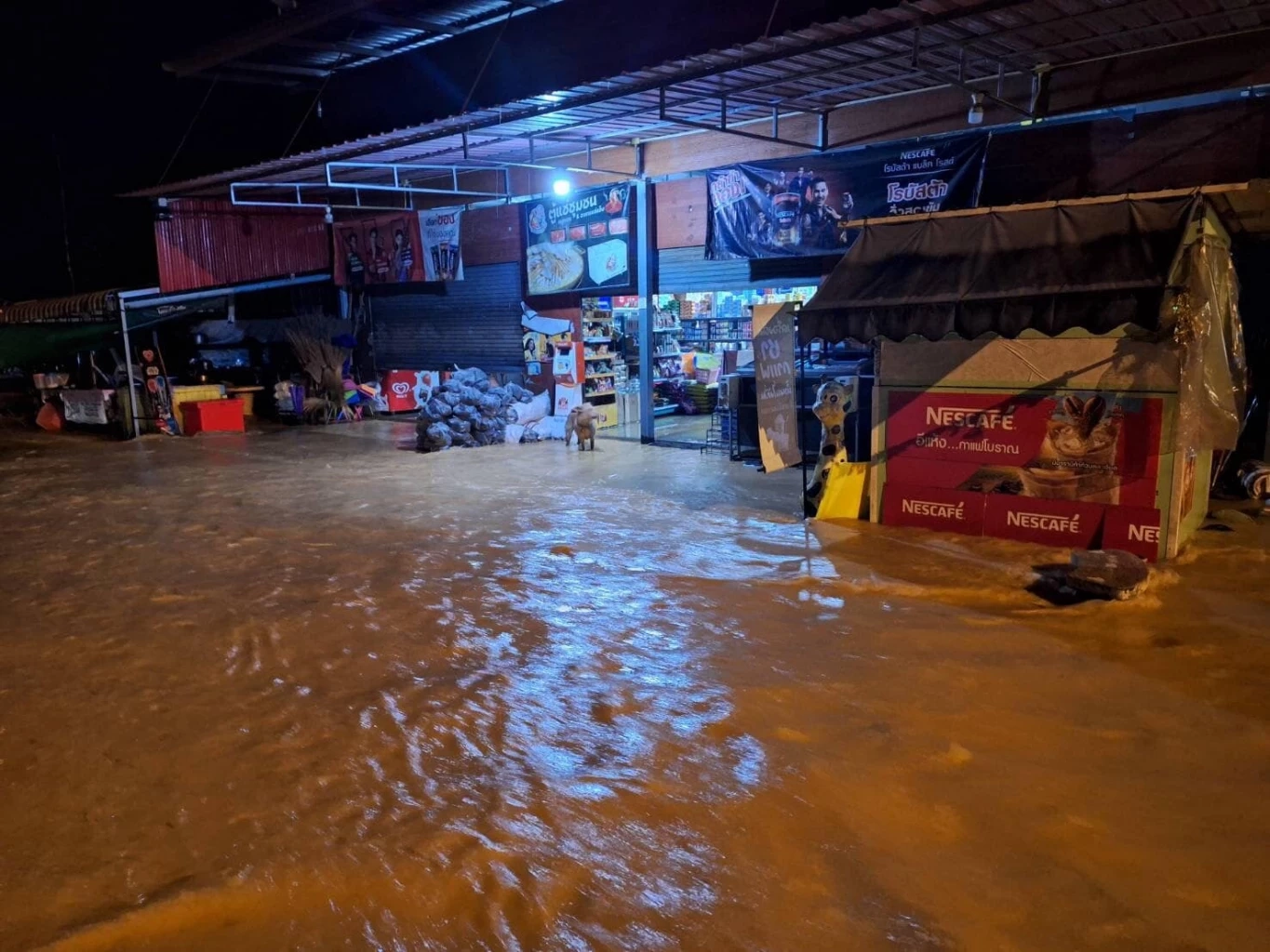 จันทบุรี ตราด อ่วม! ฝนตกหนัก น้ำป่าทะลักท่วม ถนนถูกตัด อพยพป่วยติดเตียงวุ่น