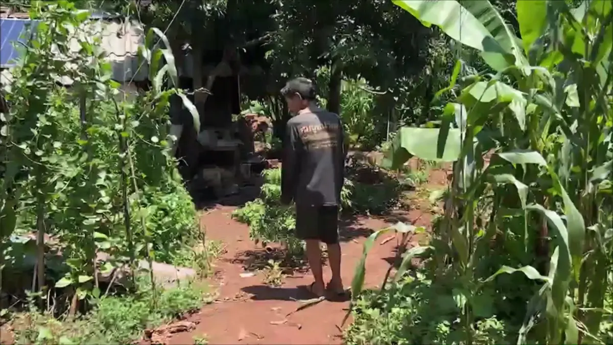 สุดรันทด 3 พี่น้องโรครุมเร้า บ้านติดเกาะ กินแต่น้ำพริก ไม่เคยลิ้มรสหมู 2 ปี
