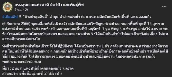 เปิดคลิป "ช้างป่า" ดำผุดดำว่าย เล่นน้ำอย่างมีความสุข