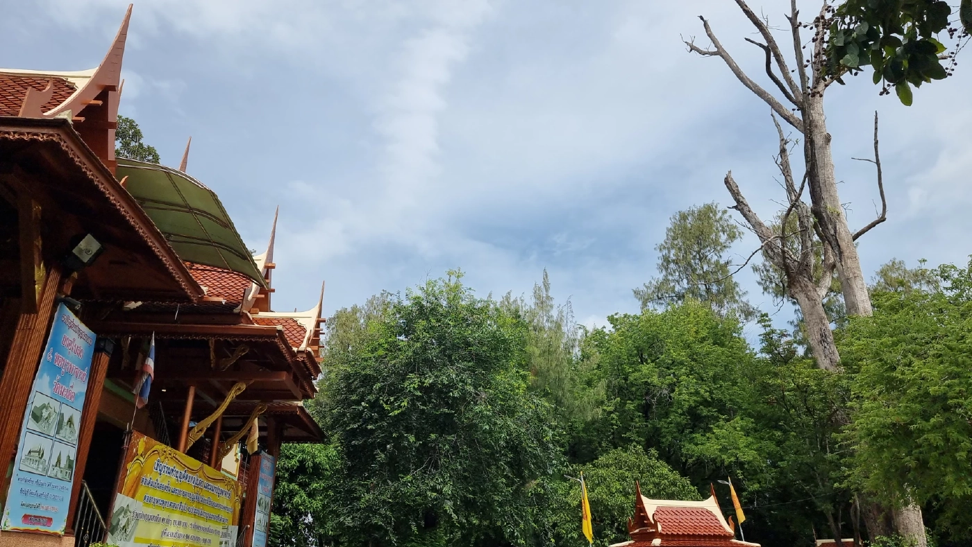 สรุปจบไม่ตัด "ต้นยางนาเก่าแก่ยืนต้นตาย" ปล่อยให้เป็นที่อาศัยนกแก้วโม่ง