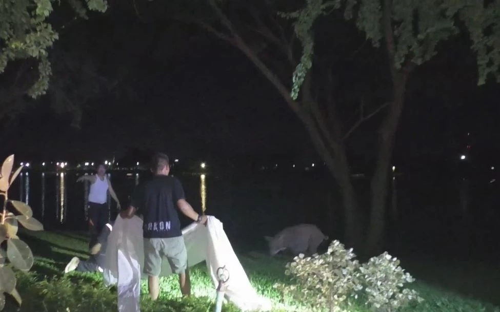 ว้าวุ่นเลยทีนี้! 11 หมูป่าป่วน กู้ภัยไล่จับทุลักทุเลกว่า 7 ชม. (มีคลิป)