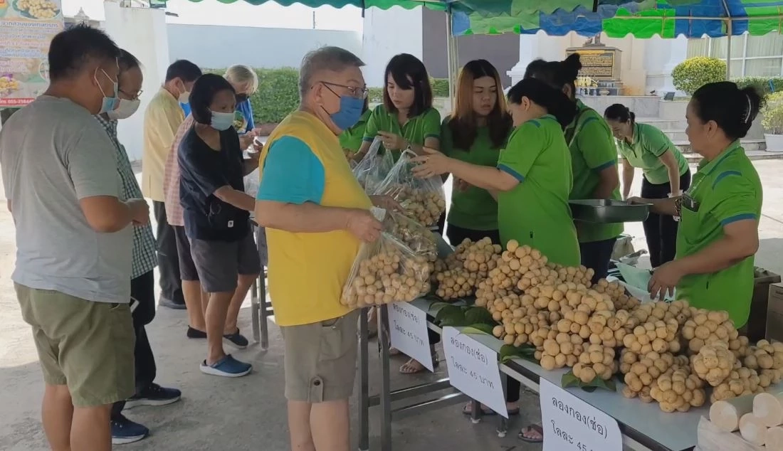 สหกรณ์วัดจันทร์ นำลองกองแดนใต้ จ.ยะลา เกรดพรีเมียม มาขายช่วยเกษตรกรครั้งที่ 2