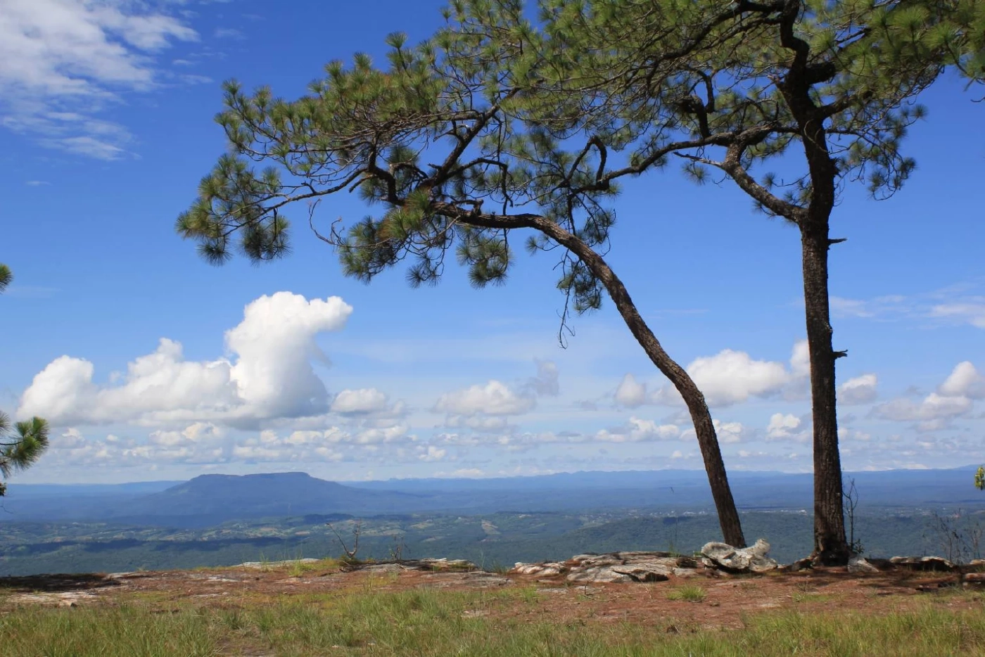 สายลุยเตรียมตัว 1 ตุลาคมนี้ "ภูกระดึง" เปิดฤดูกาลท่องเที่ยว