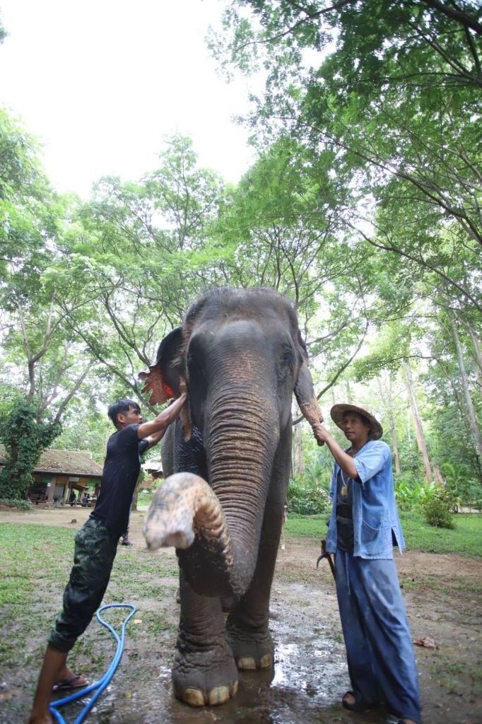 สคช. ปรับเกณฑ์รับรองคุณวุฒิ หนุน 1 ครอบครัว 1 Soft Power 